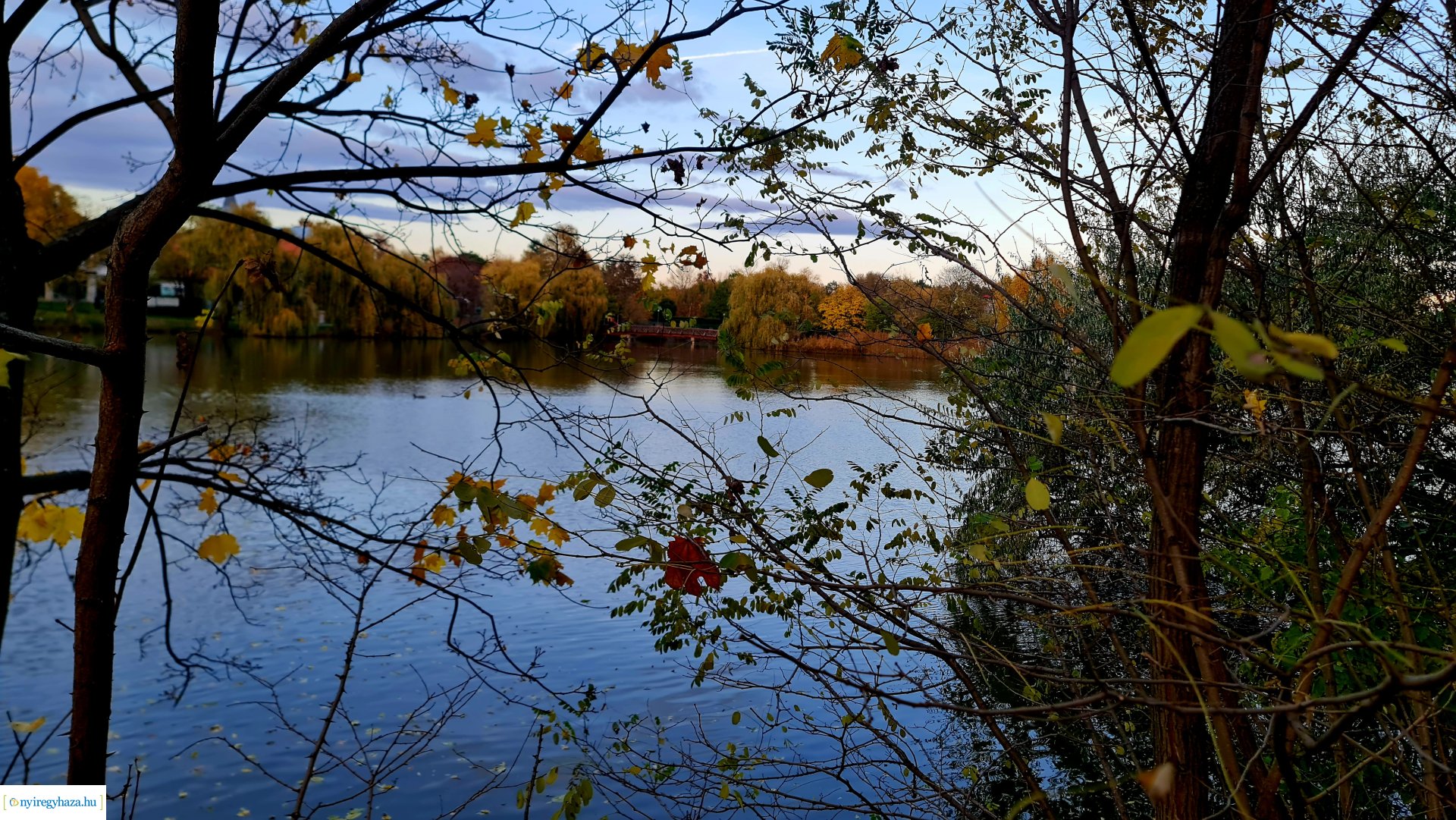 Az ősz színei Nyíregyházán