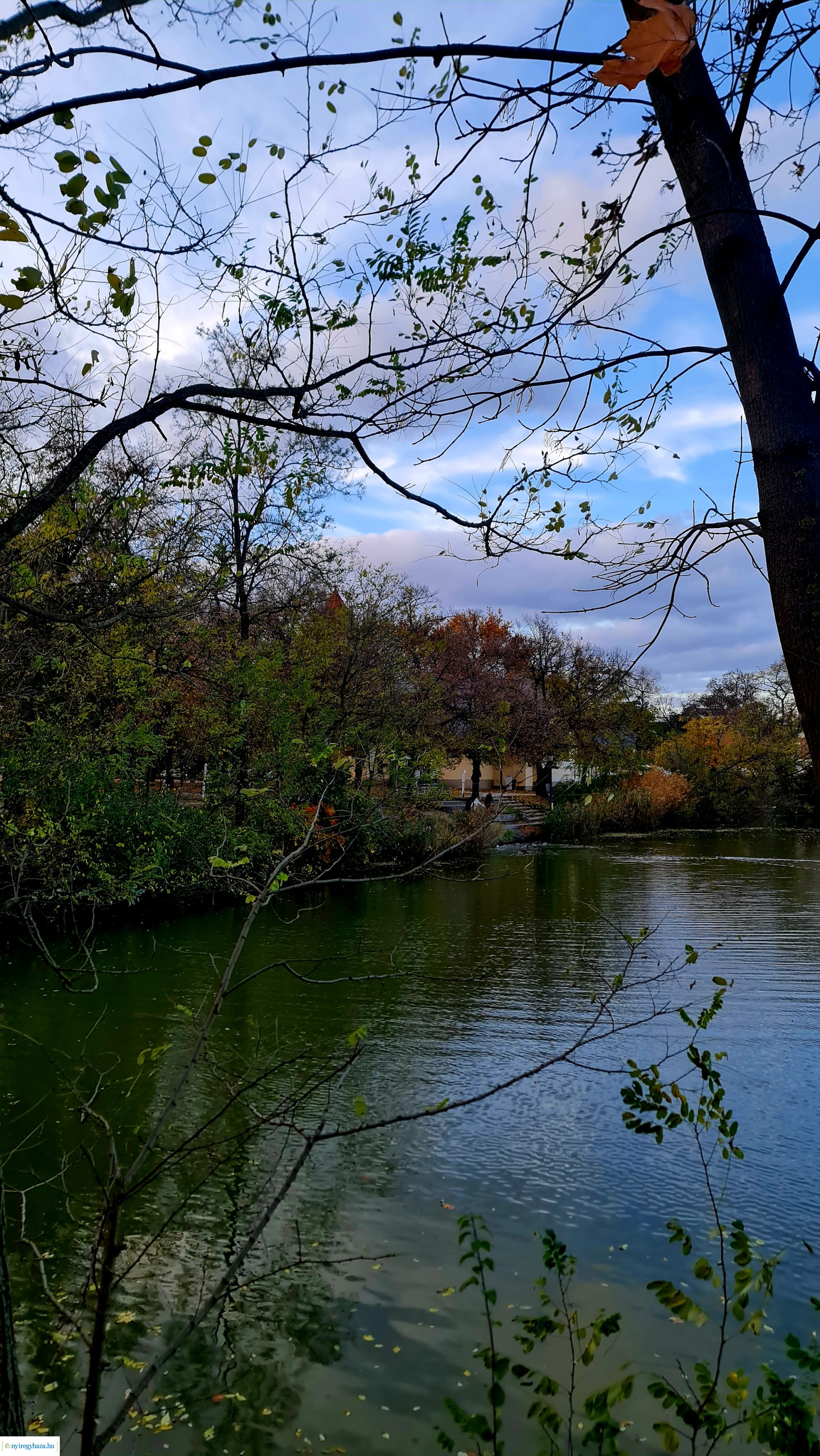 Az ősz színei Nyíregyházán