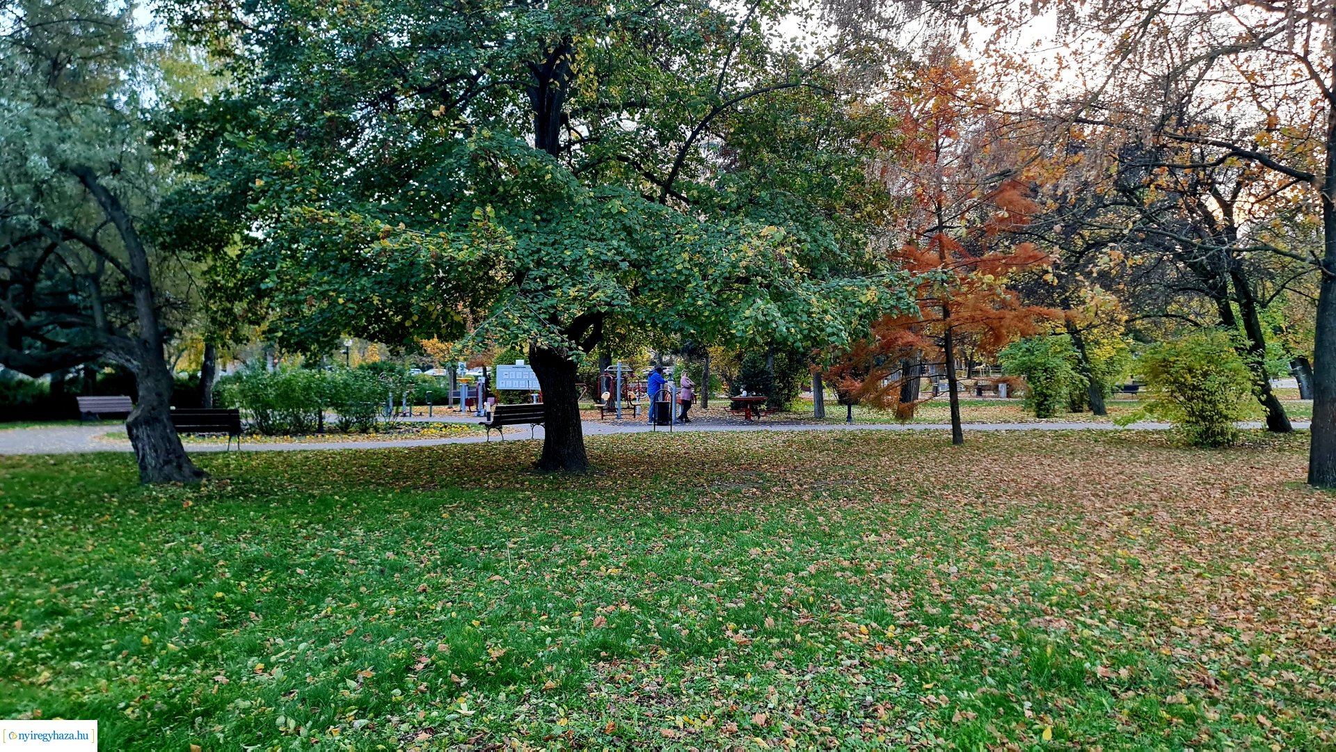 Az ősz színei Nyíregyházán