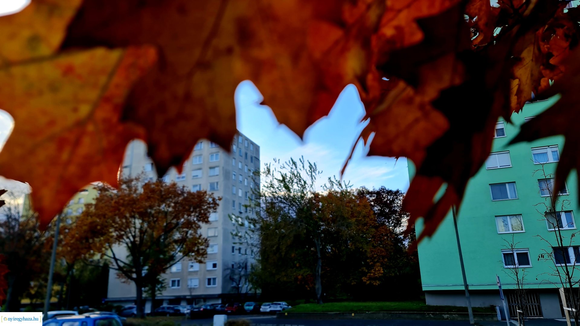 Az ősz színei Nyíregyházán