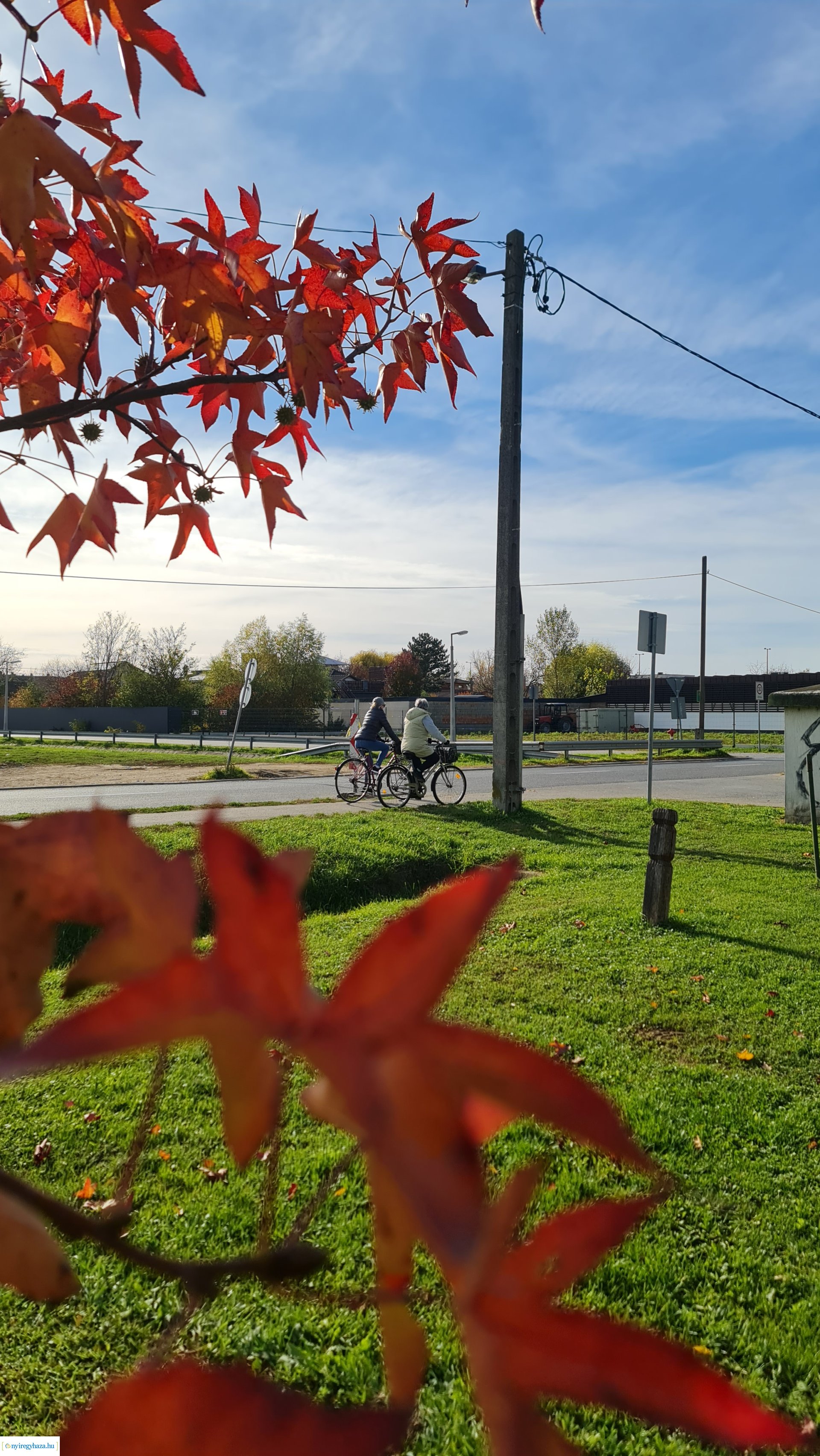 Az ősz színei Nyíregyházán