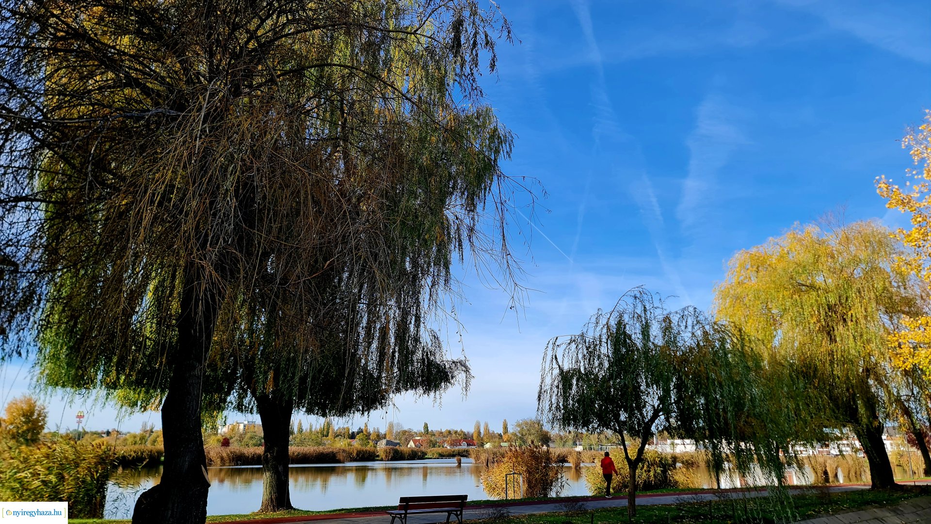 Az ősz színei Nyíregyházán