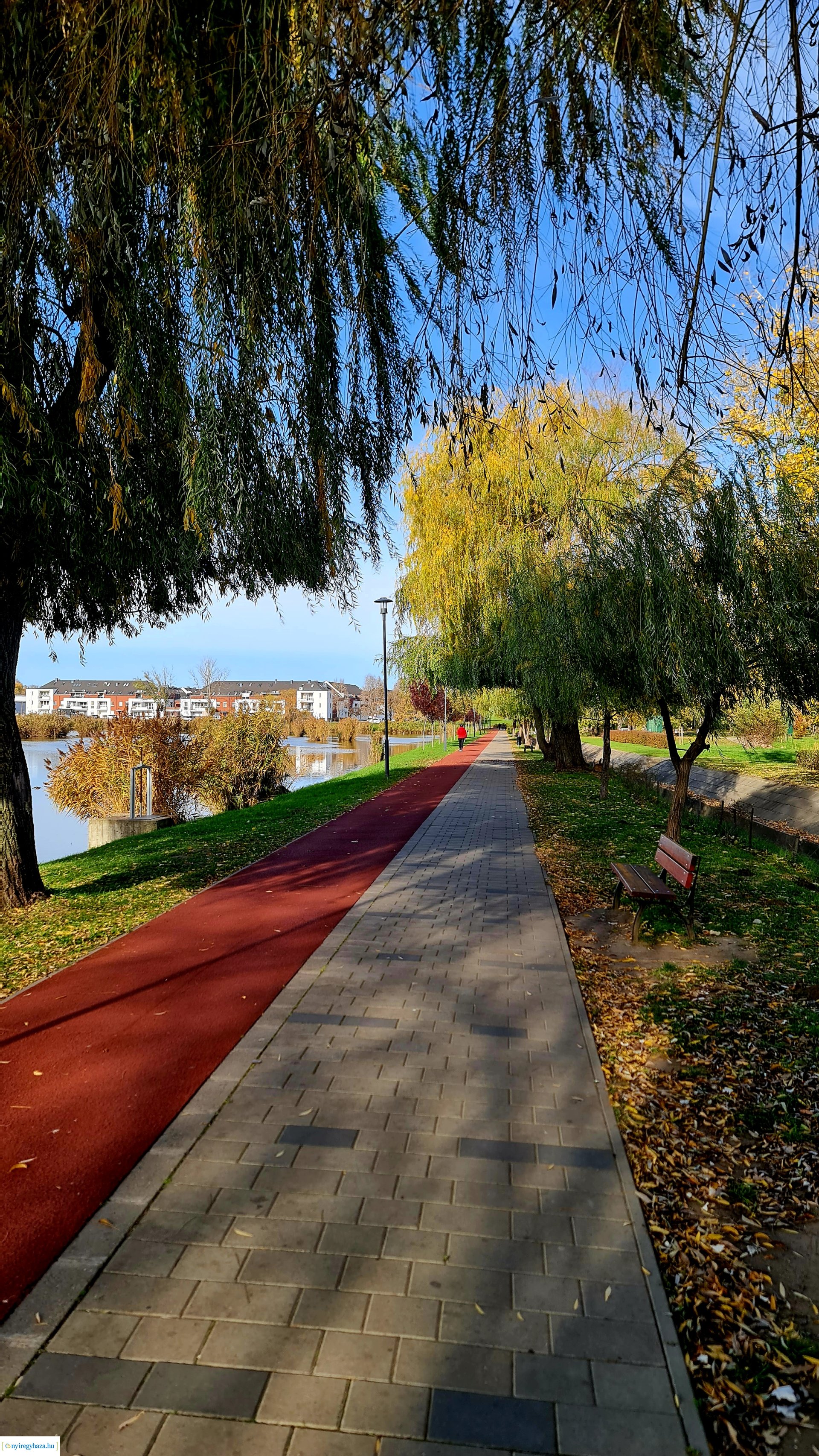 Az ősz színei Nyíregyházán