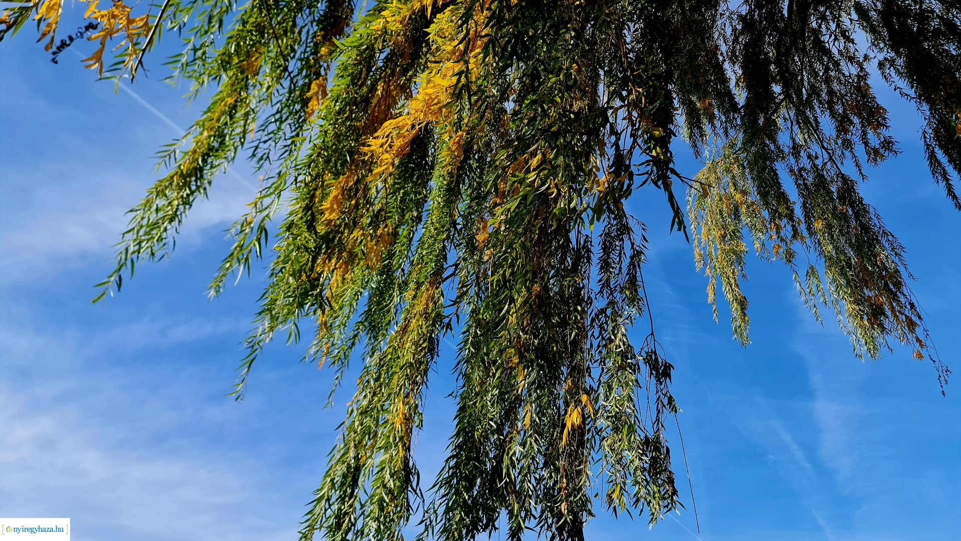 Az ősz színei Nyíregyházán