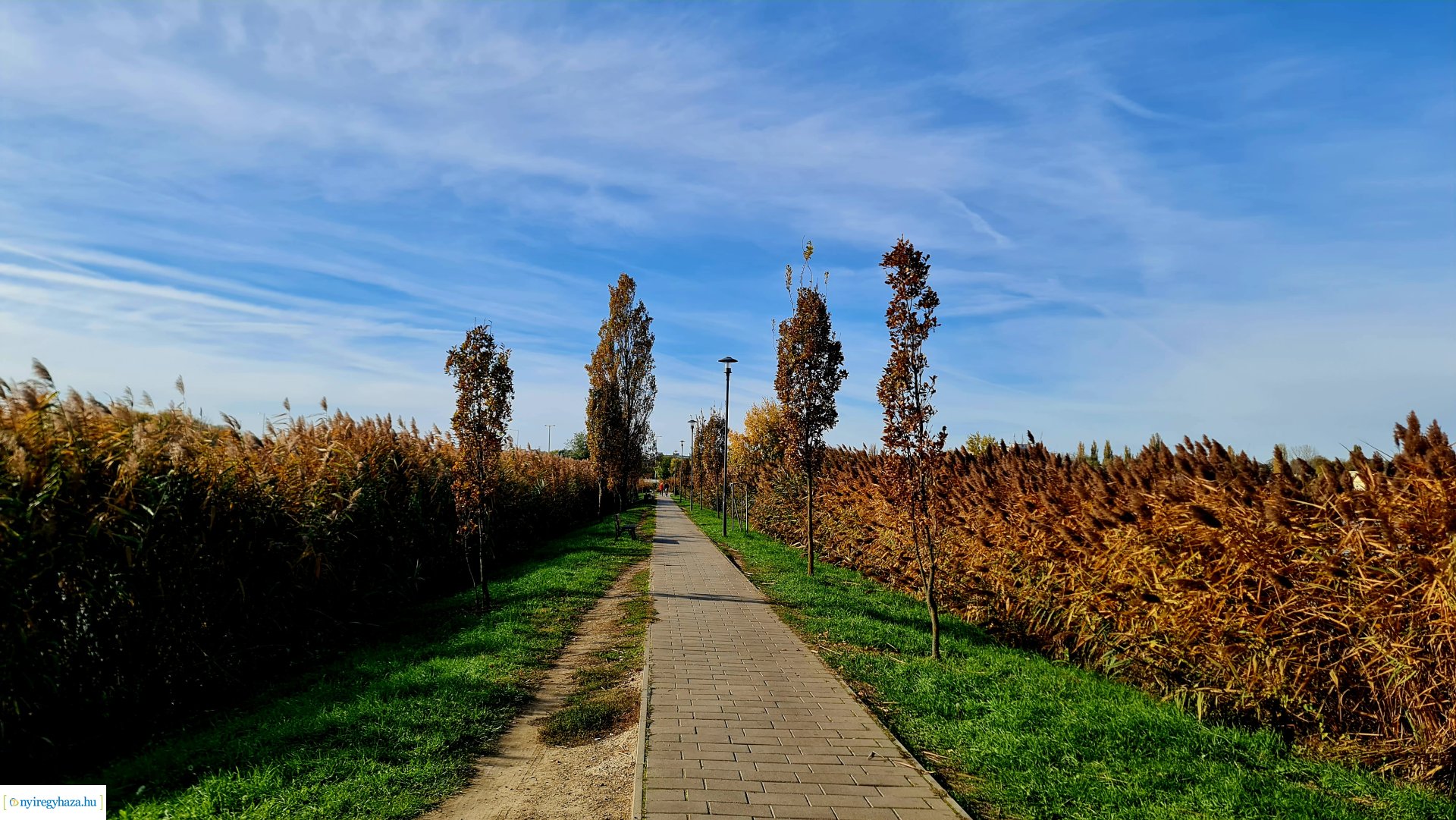 Az ősz színei Nyíregyházán