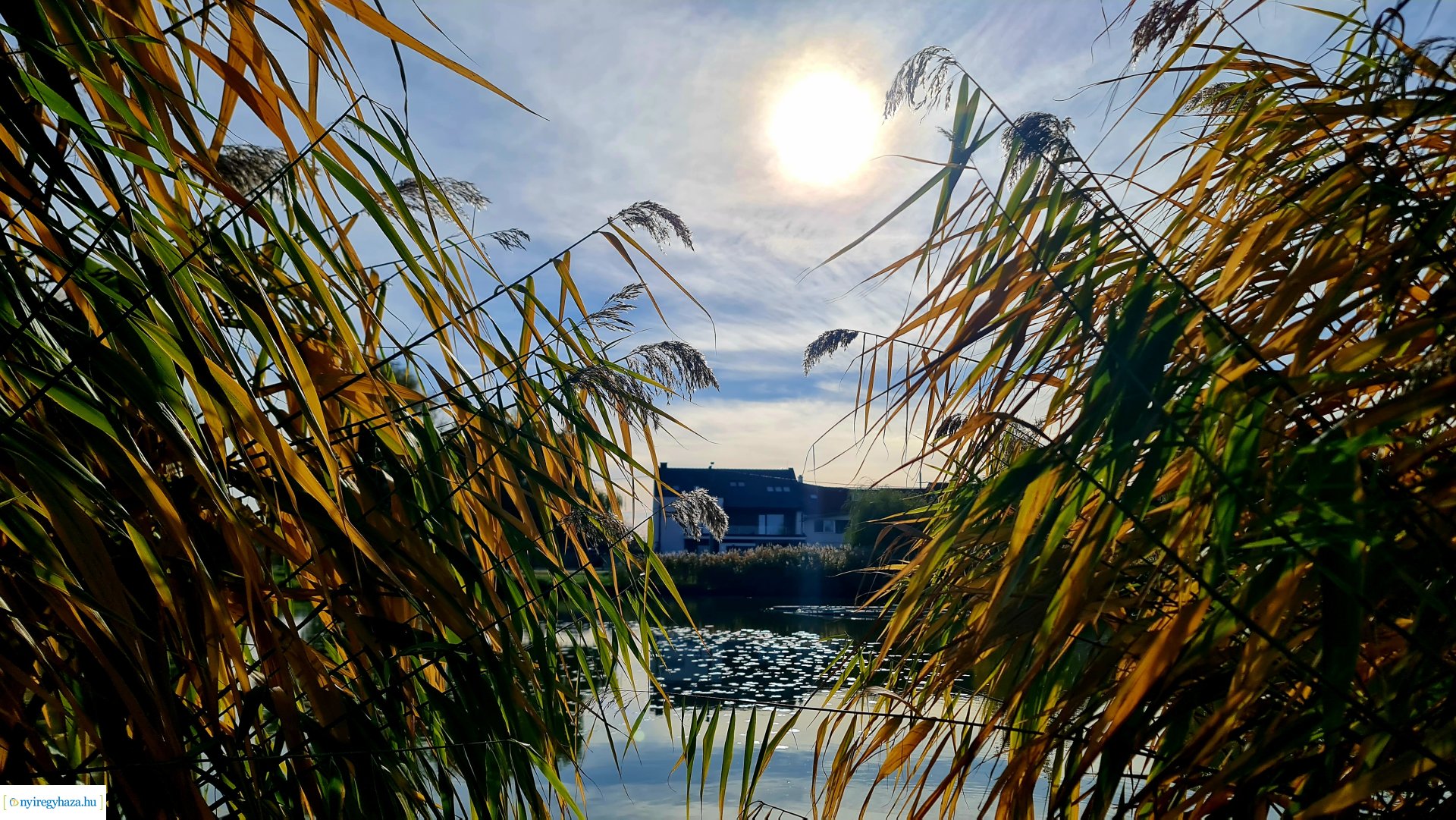 Az ősz színei Nyíregyházán