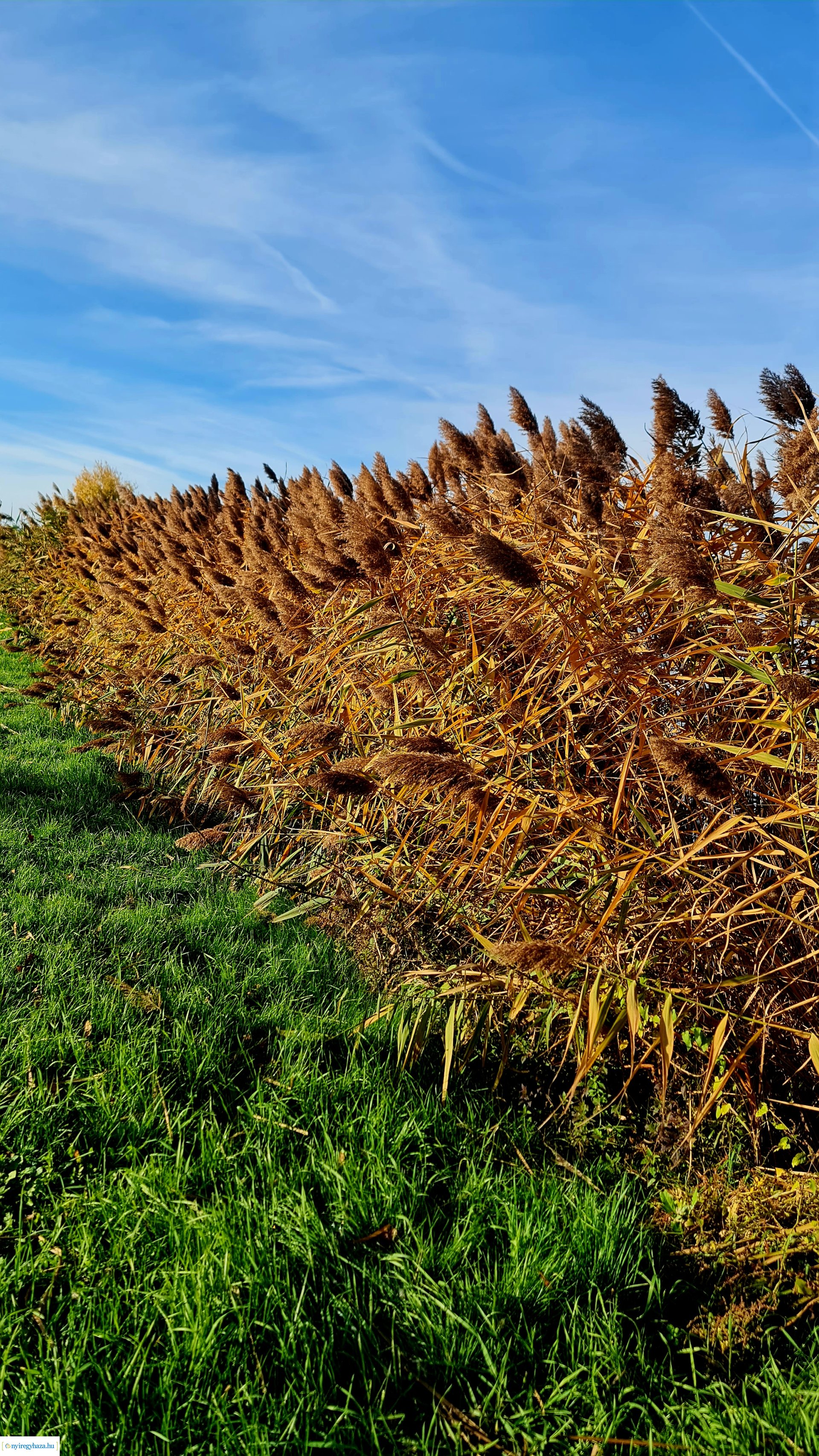 Az ősz színei Nyíregyházán