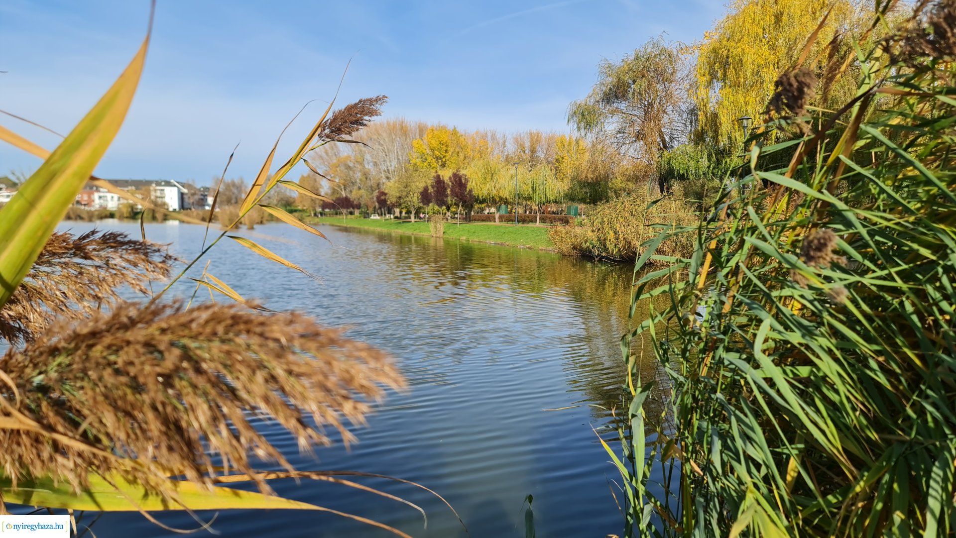 Az ősz színei Nyíregyházán