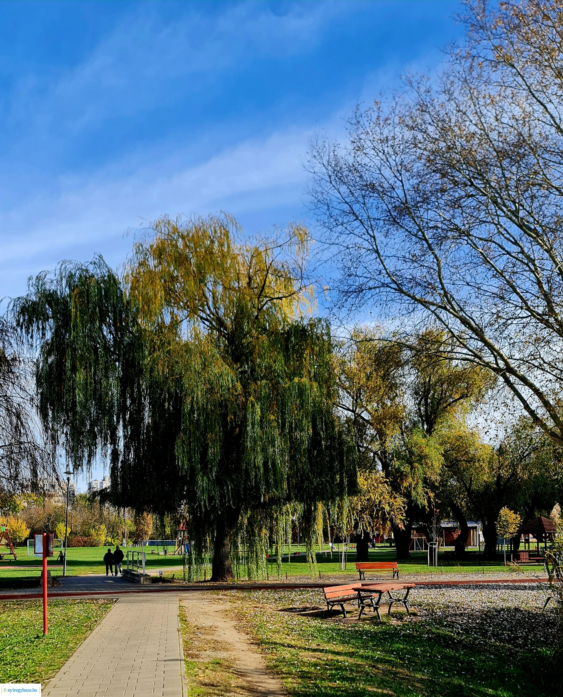 Az ősz színei Nyíregyházán