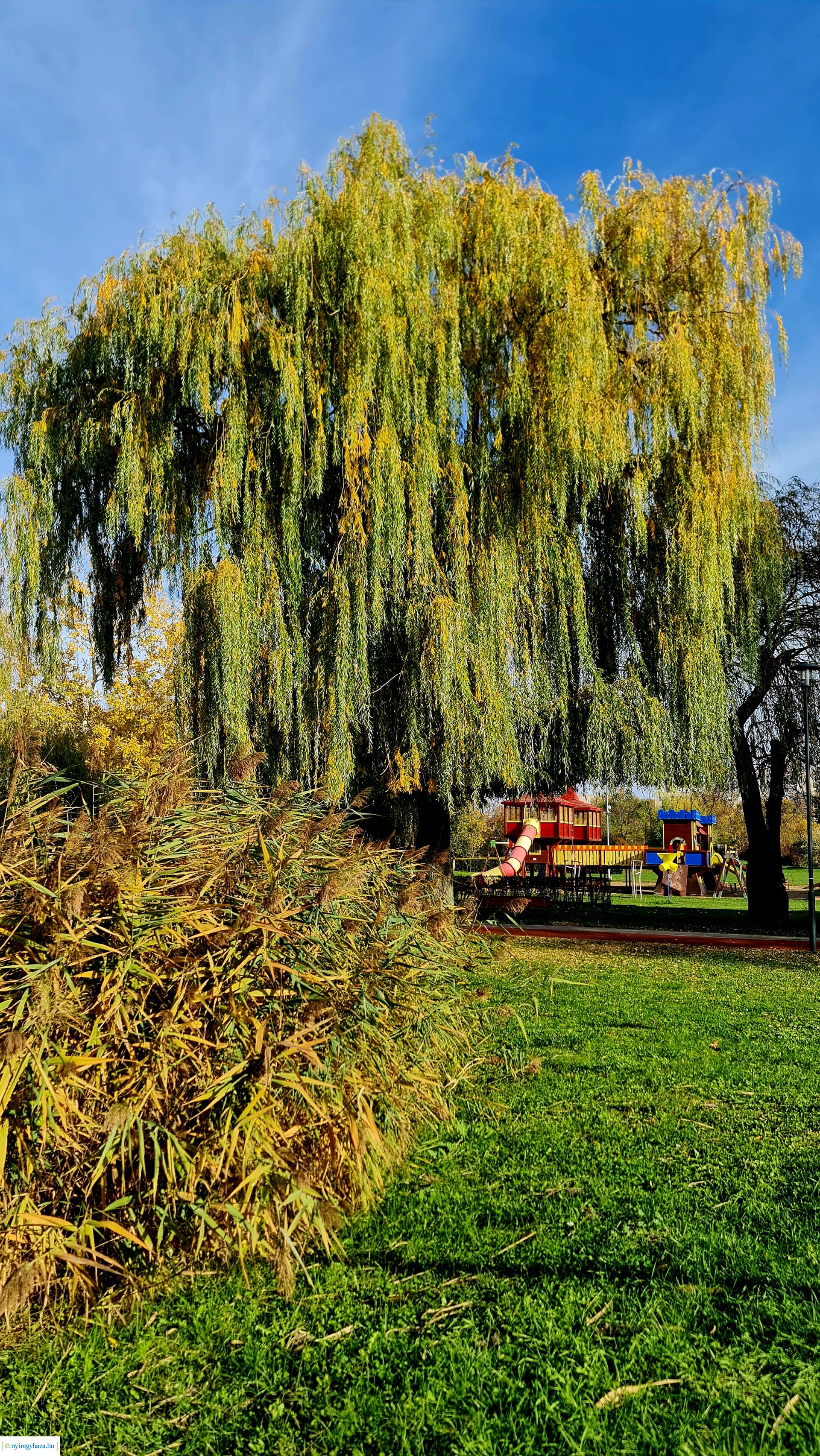 Az ősz színei Nyíregyházán