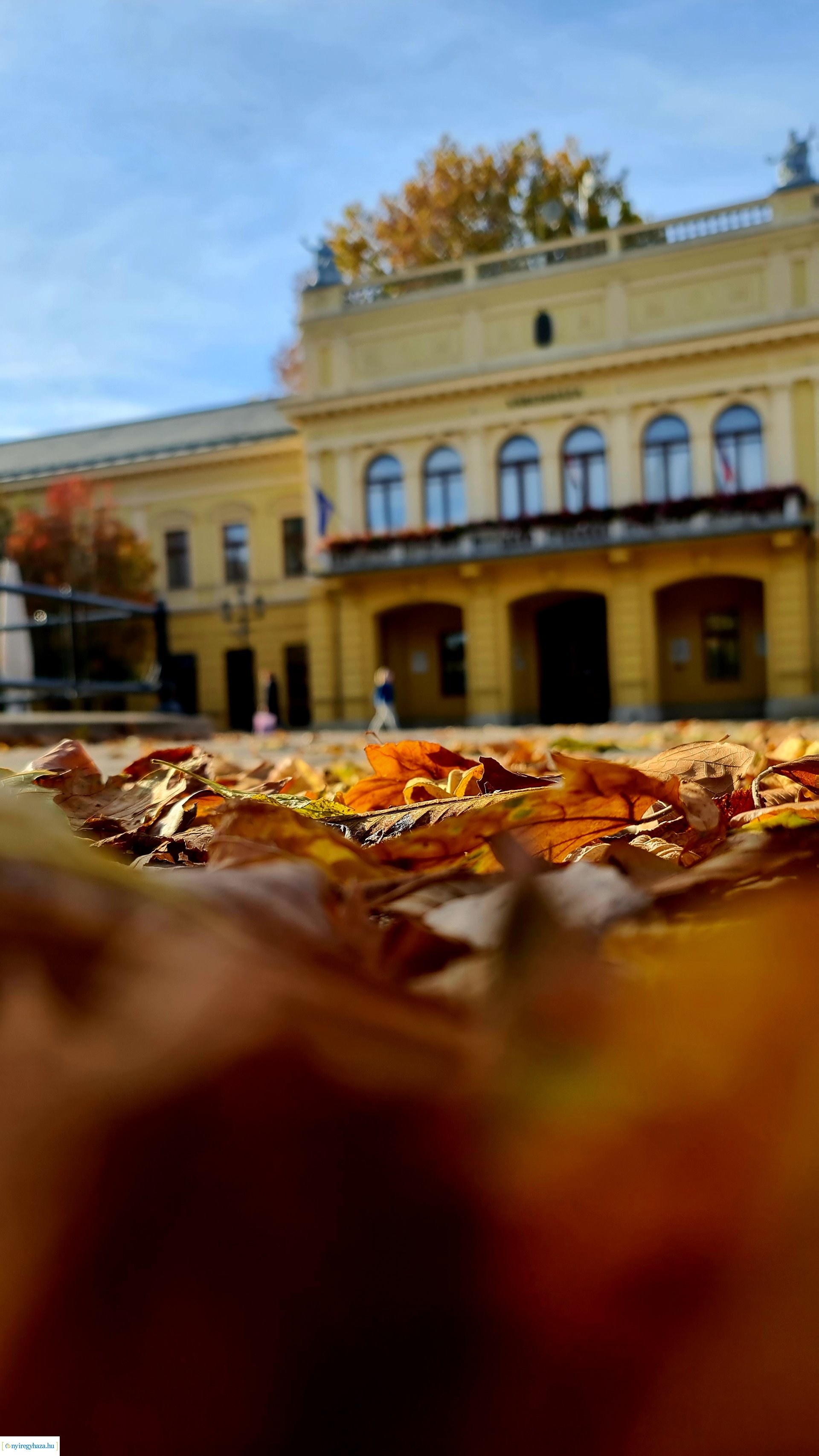 Az ősz színei Nyíregyházán
