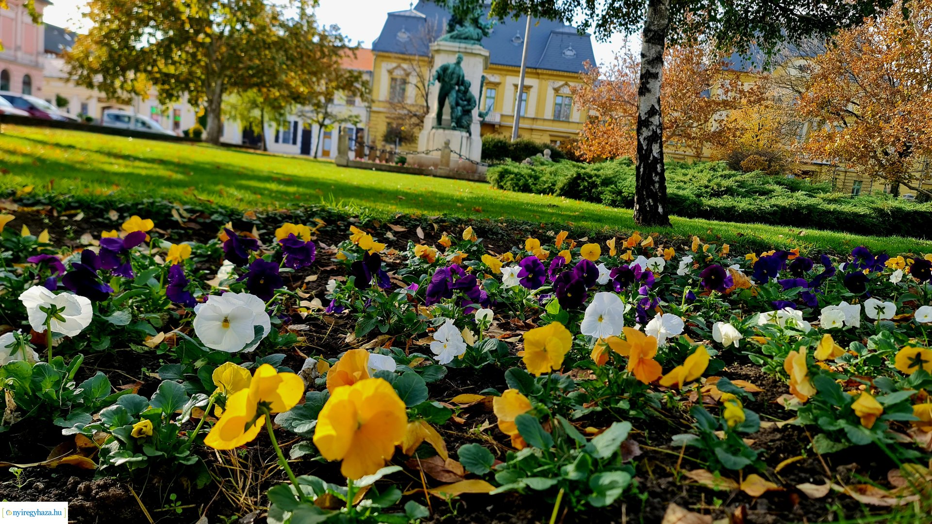 Az ősz színei Nyíregyházán