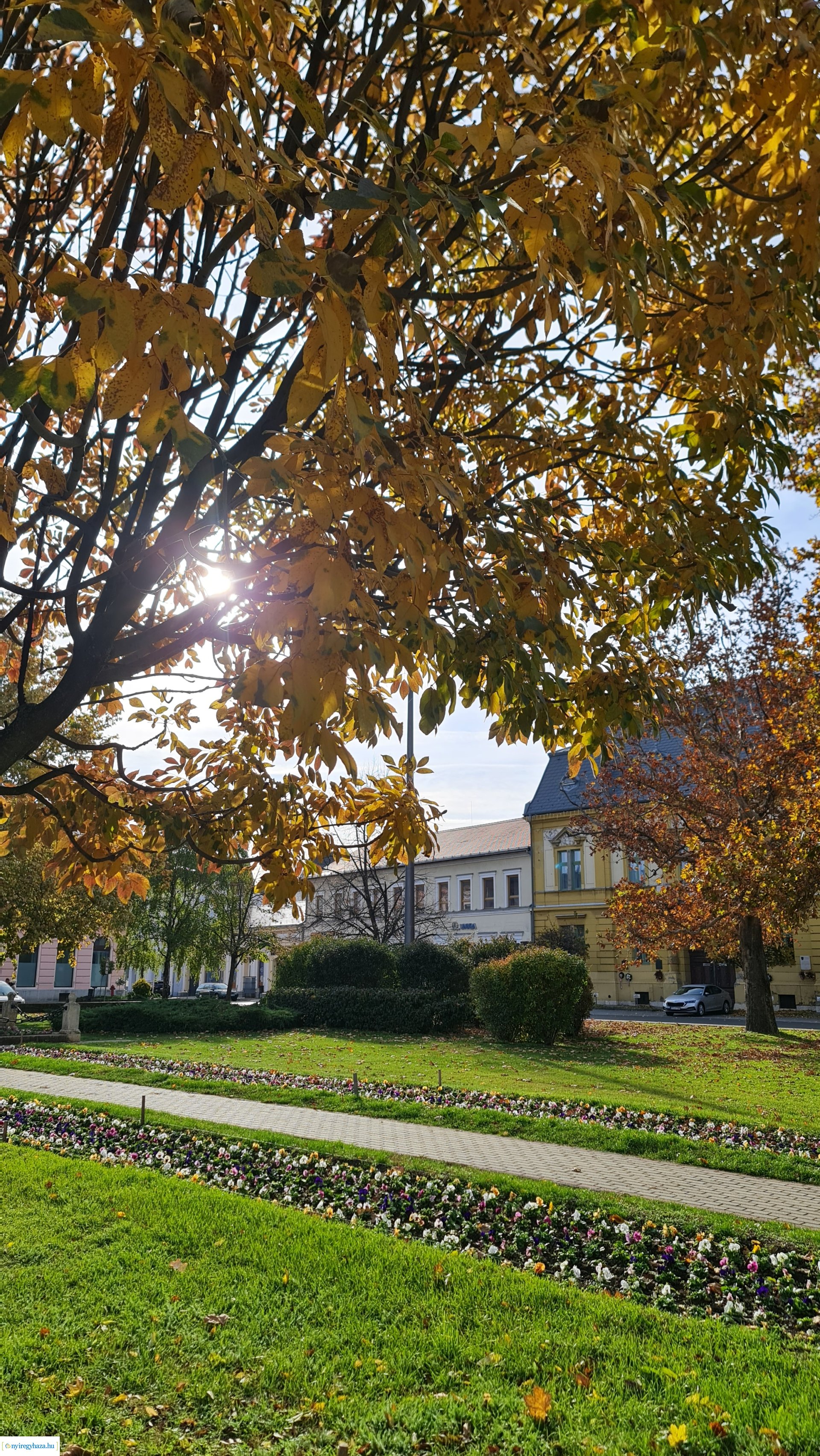 Az ősz színei Nyíregyházán