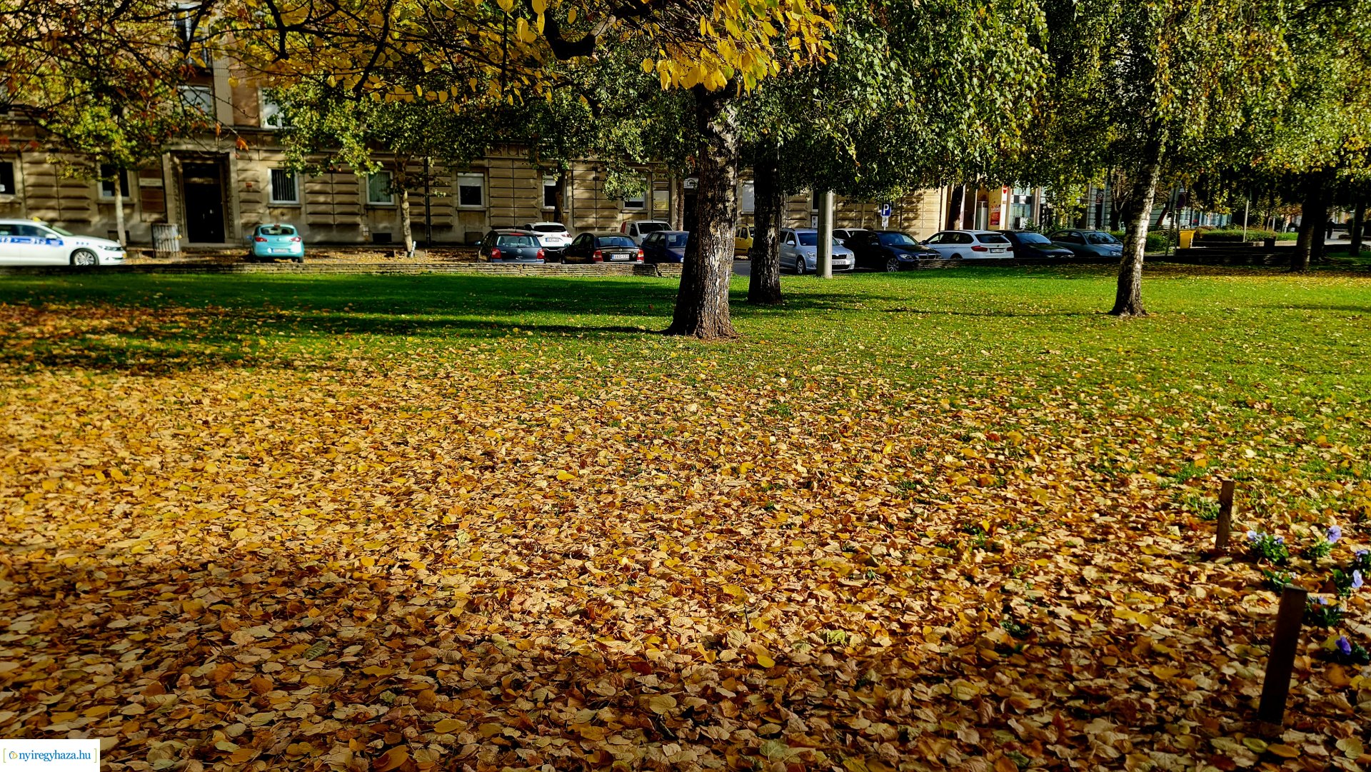Az ősz színei Nyíregyházán