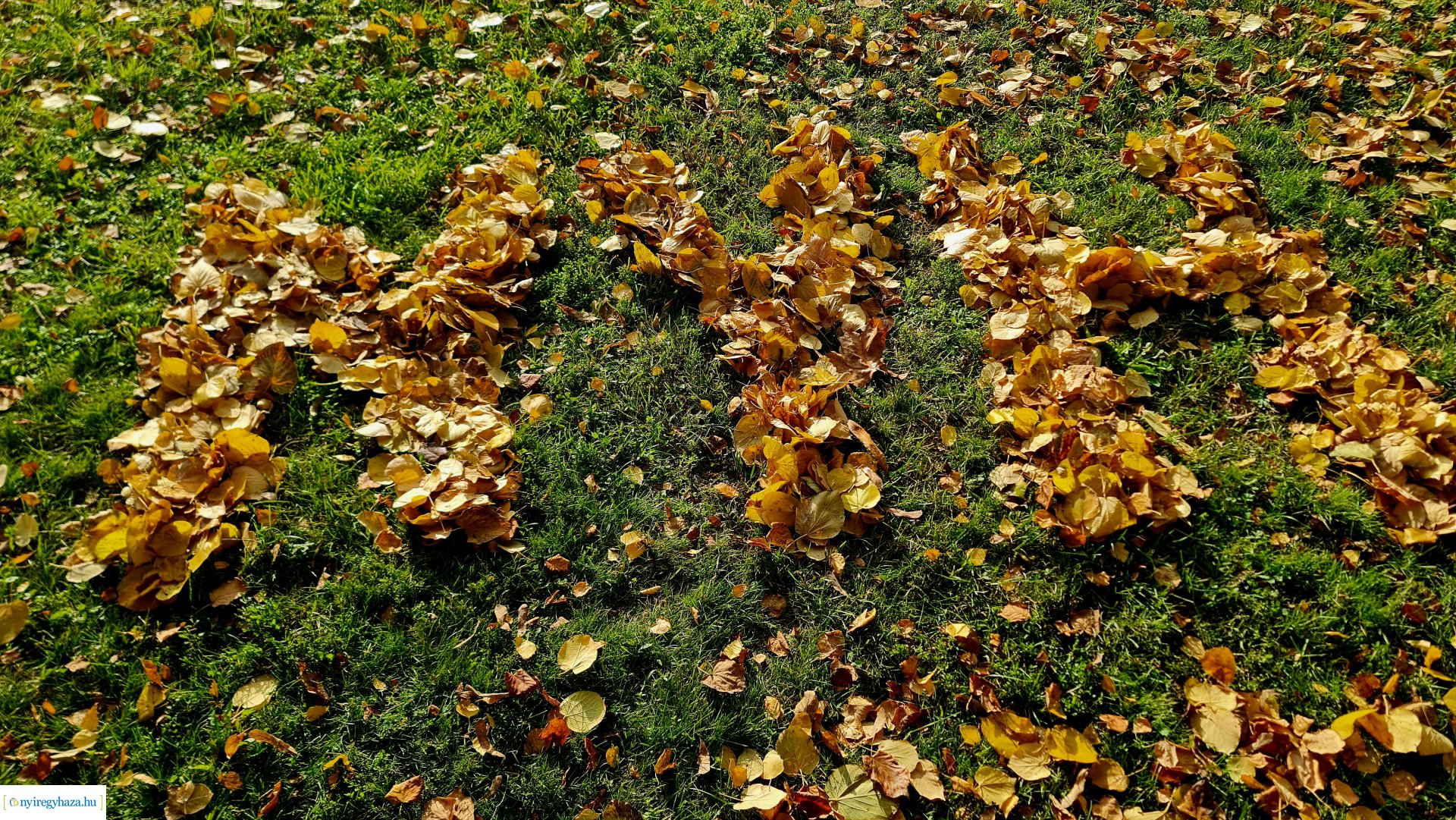 Az ősz színei Nyíregyházán