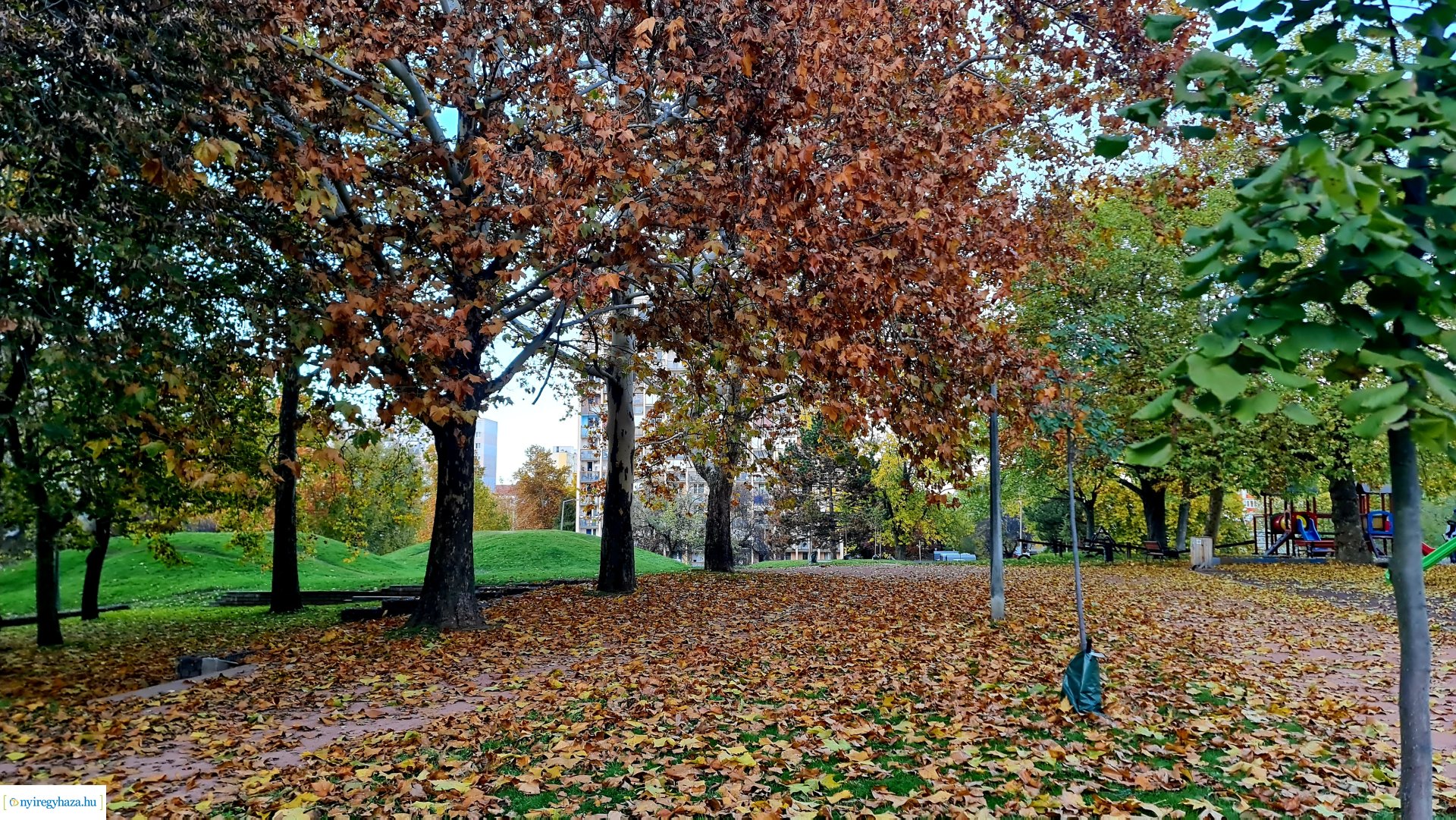 Az ősz színei Nyíregyházán