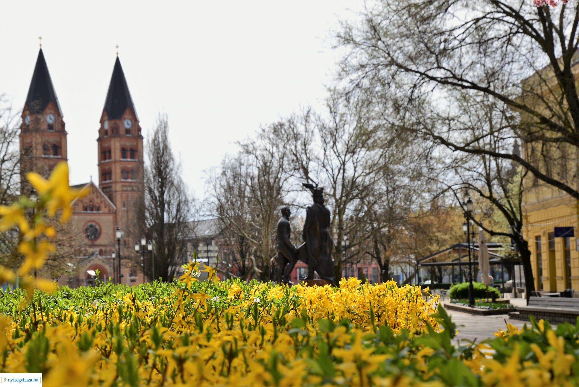 Az tavasz korai hírnökei belvárosunkban