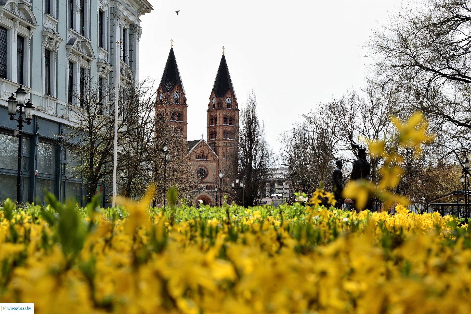 Az tavasz korai hírnökei belvárosunkban