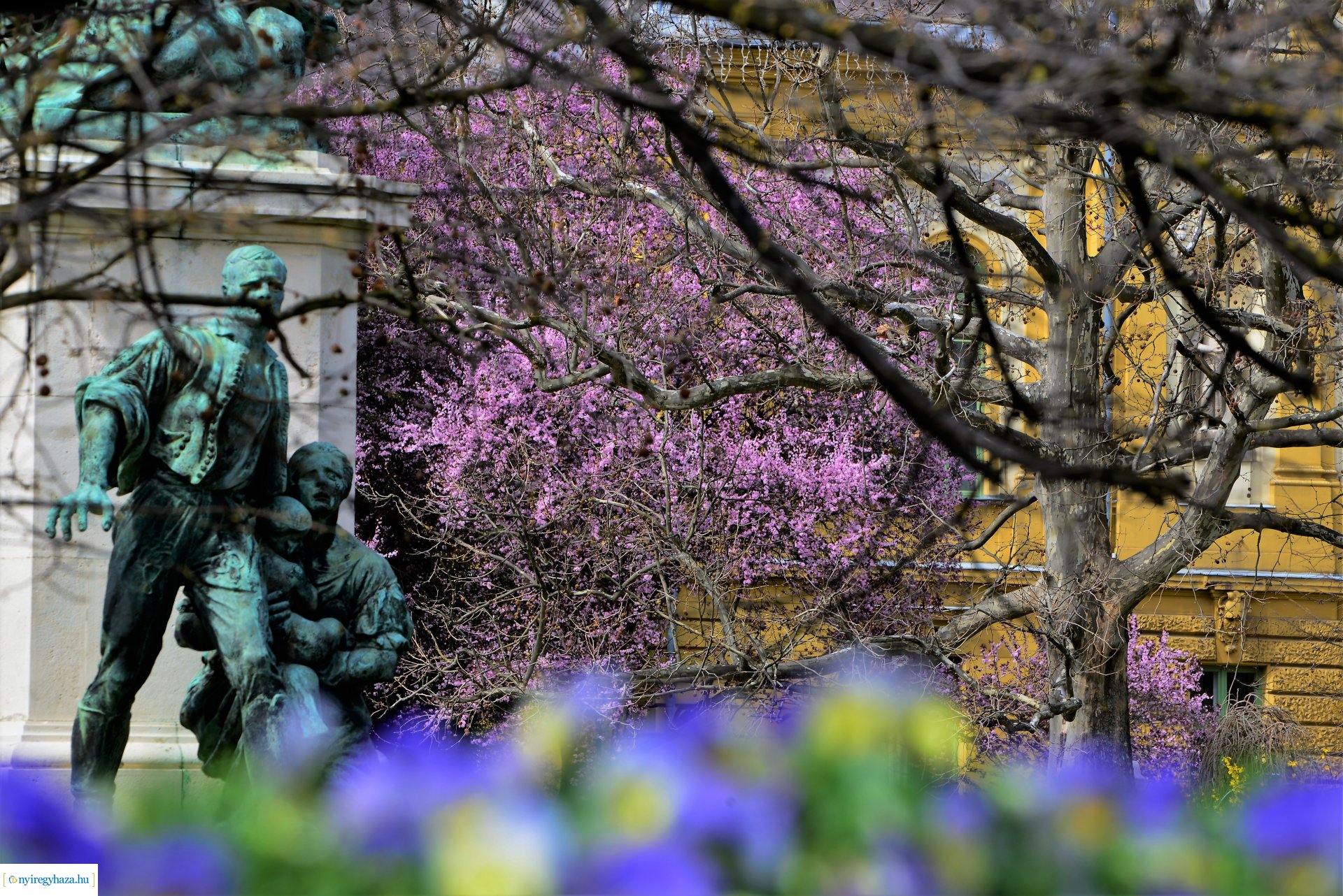 Az tavasz korai hírnökei belvárosunkban