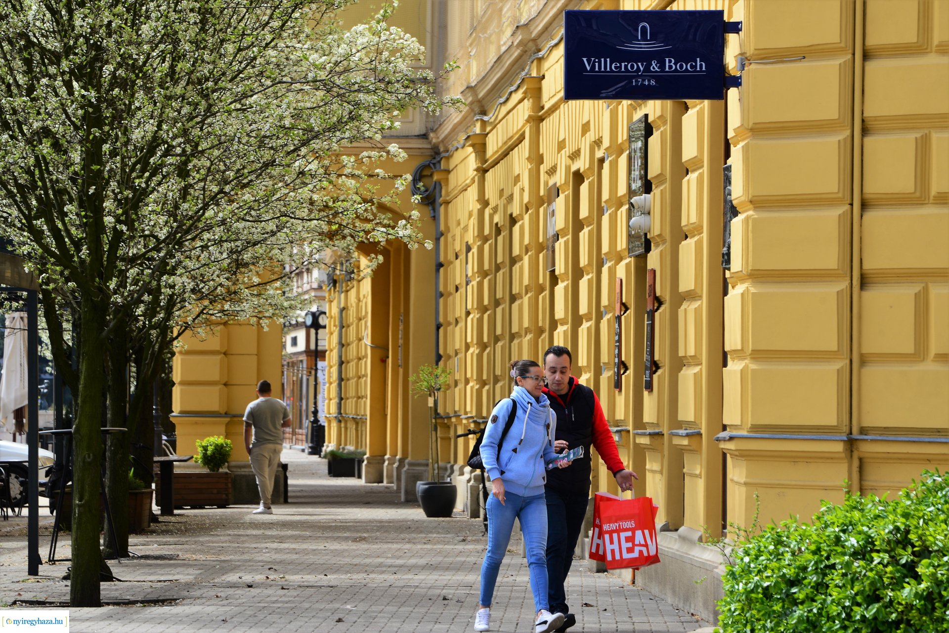 Az tavasz korai hírnökei belvárosunkban