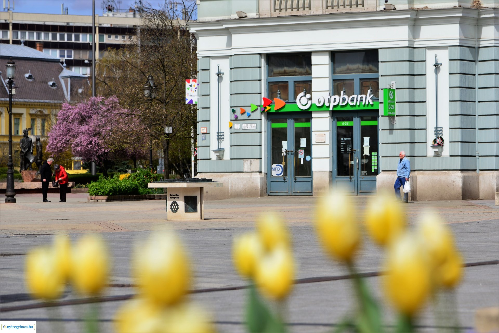 Az tavasz korai hírnökei belvárosunkban