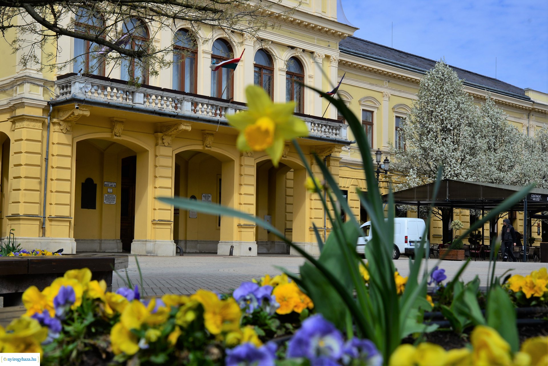 Az tavasz korai hírnökei belvárosunkban
