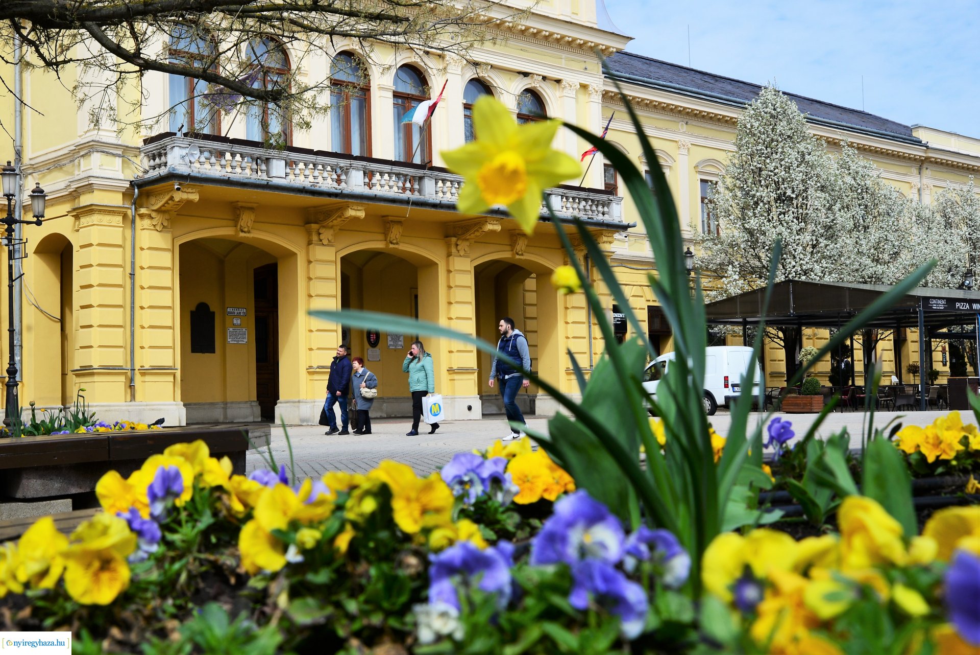 Az tavasz korai hírnökei belvárosunkban