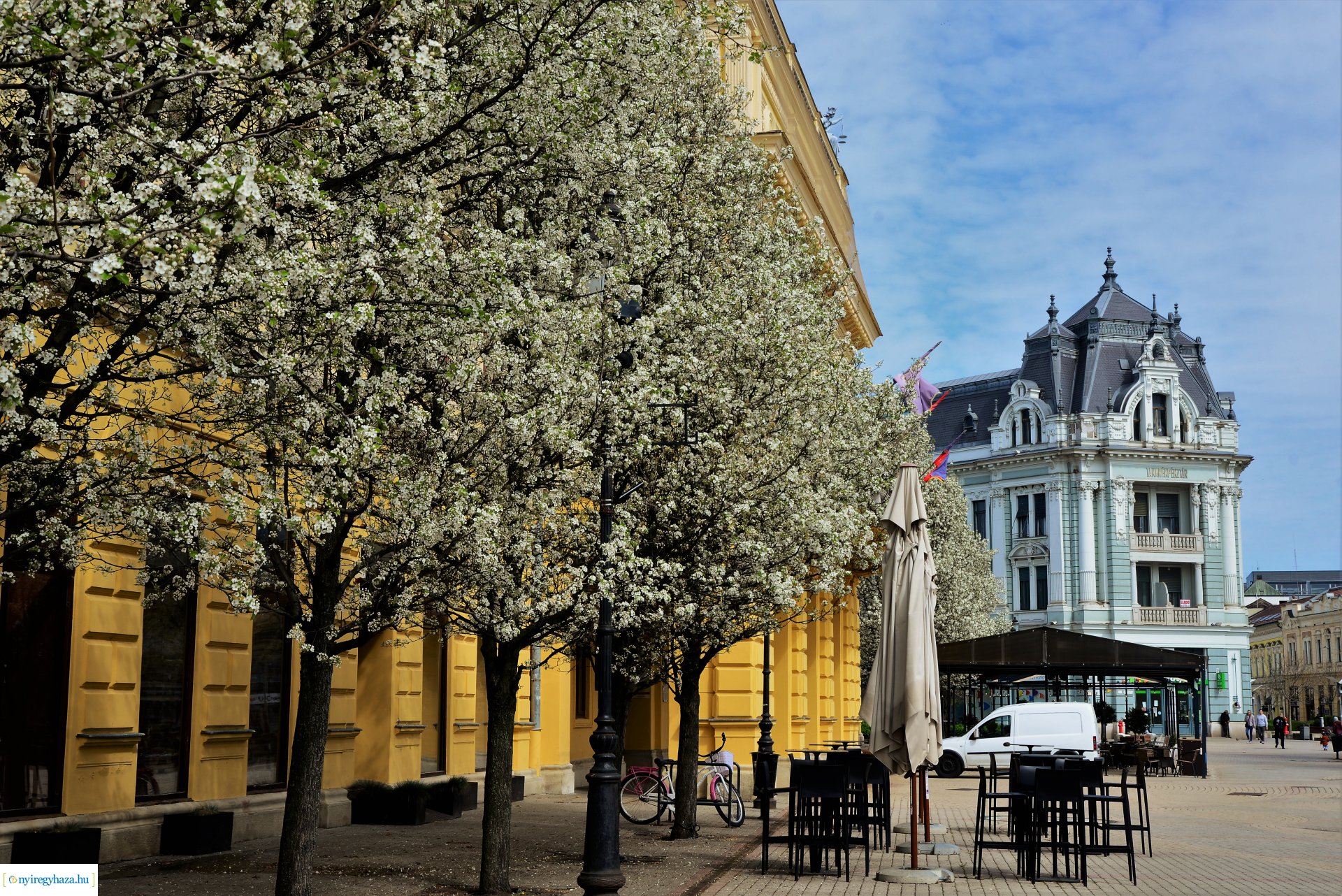 Az tavasz korai hírnökei belvárosunkban