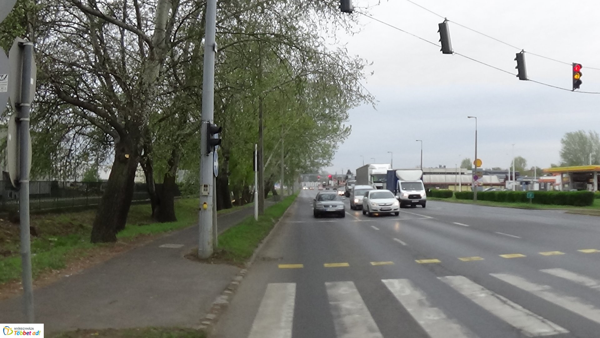 Balesetveszélyes fákat vágnak ki