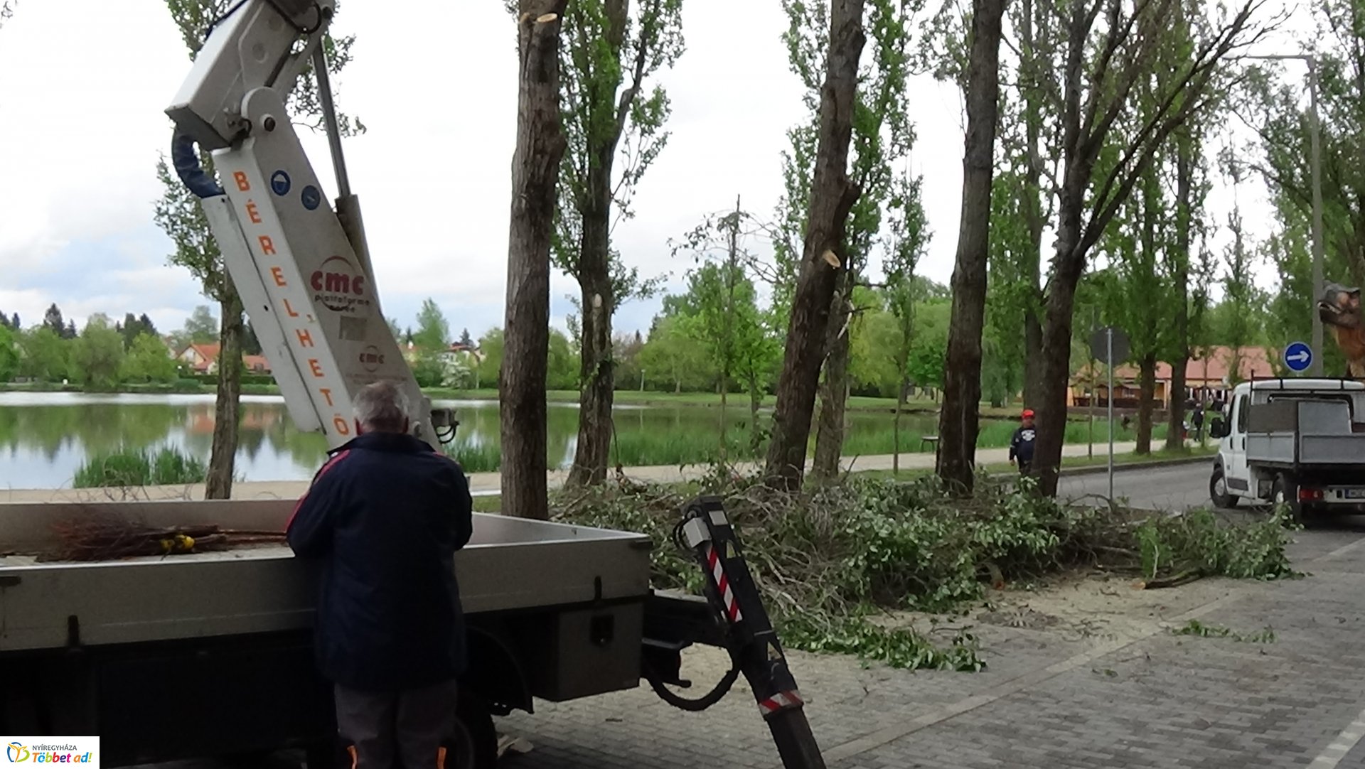 Balesetveszélyes fákat vágtak ki