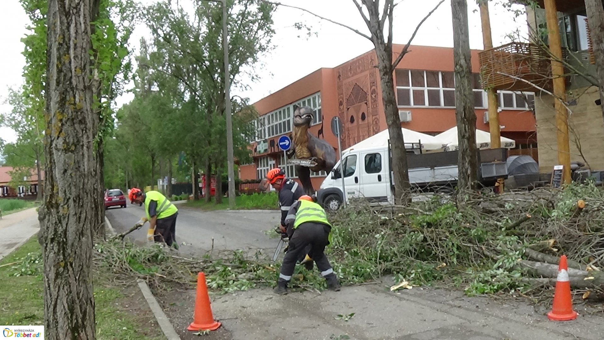 Balesetveszélyes fákat vágtak ki