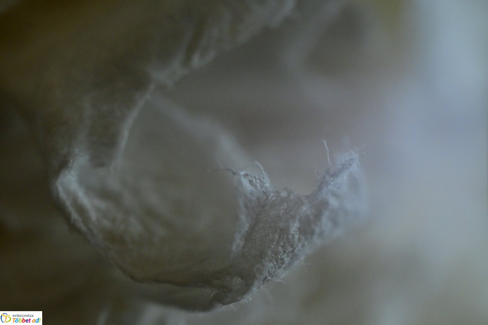 Ballagók Kapcsos Könyve 2025