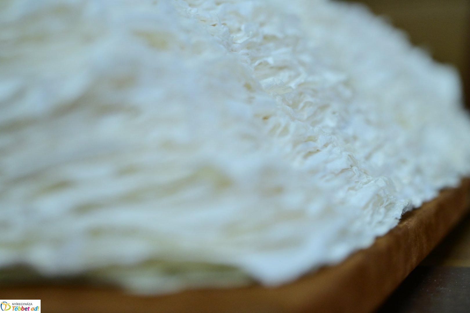 Ballagók Kapcsos Könyve 2025