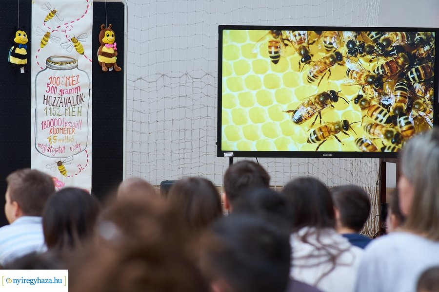 Barátságban a méhekkel a kertvárosi iskolában