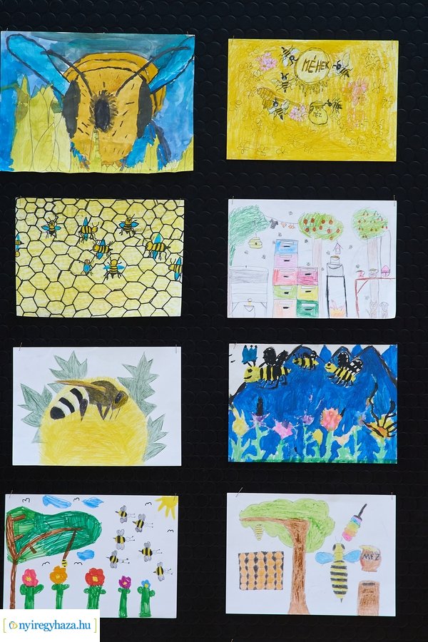 Barátságban a méhekkel a kertvárosi iskolában