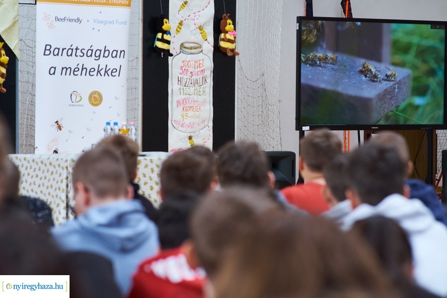 Barátságban a méhekkel a kertvárosi iskolában