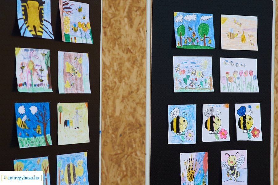 Barátságban a méhekkel a kertvárosi iskolában