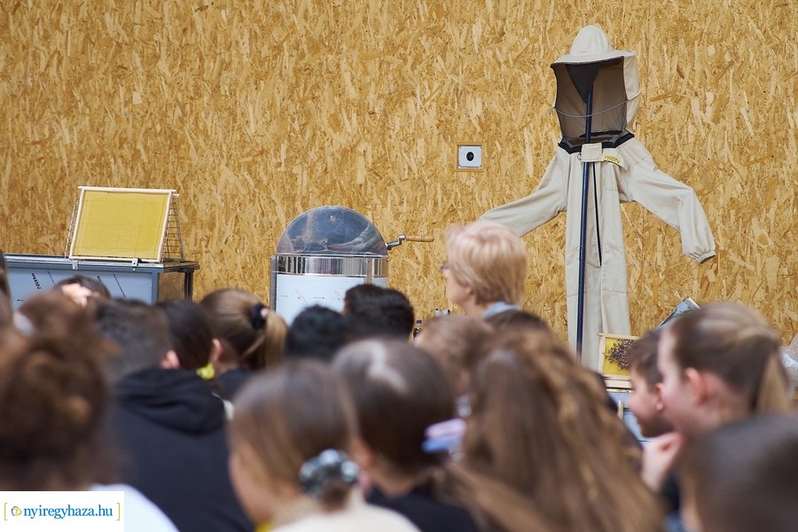 Barátságban a méhekkel a kertvárosi iskolában