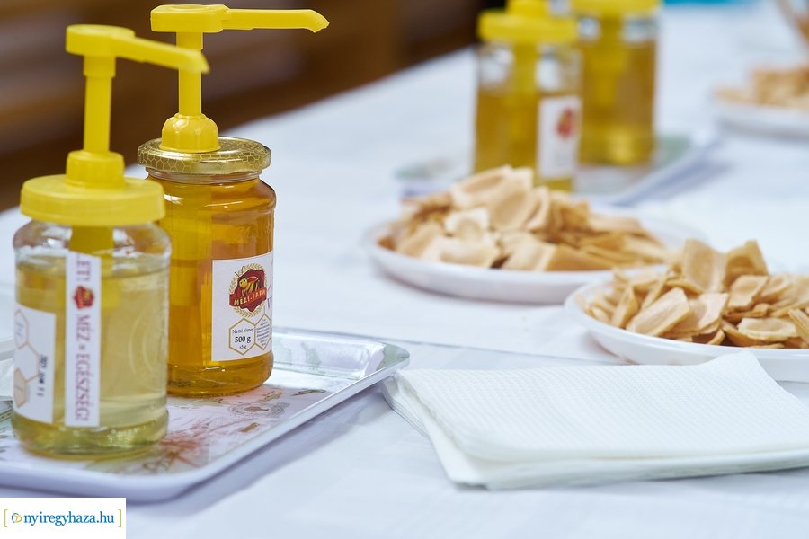 Barátságban a méhekkel a kertvárosi iskolában