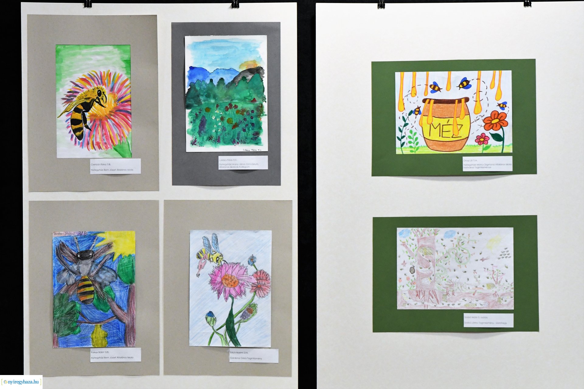 Barátságban a méhekkel - rajzpályázat eredményhirdetés 