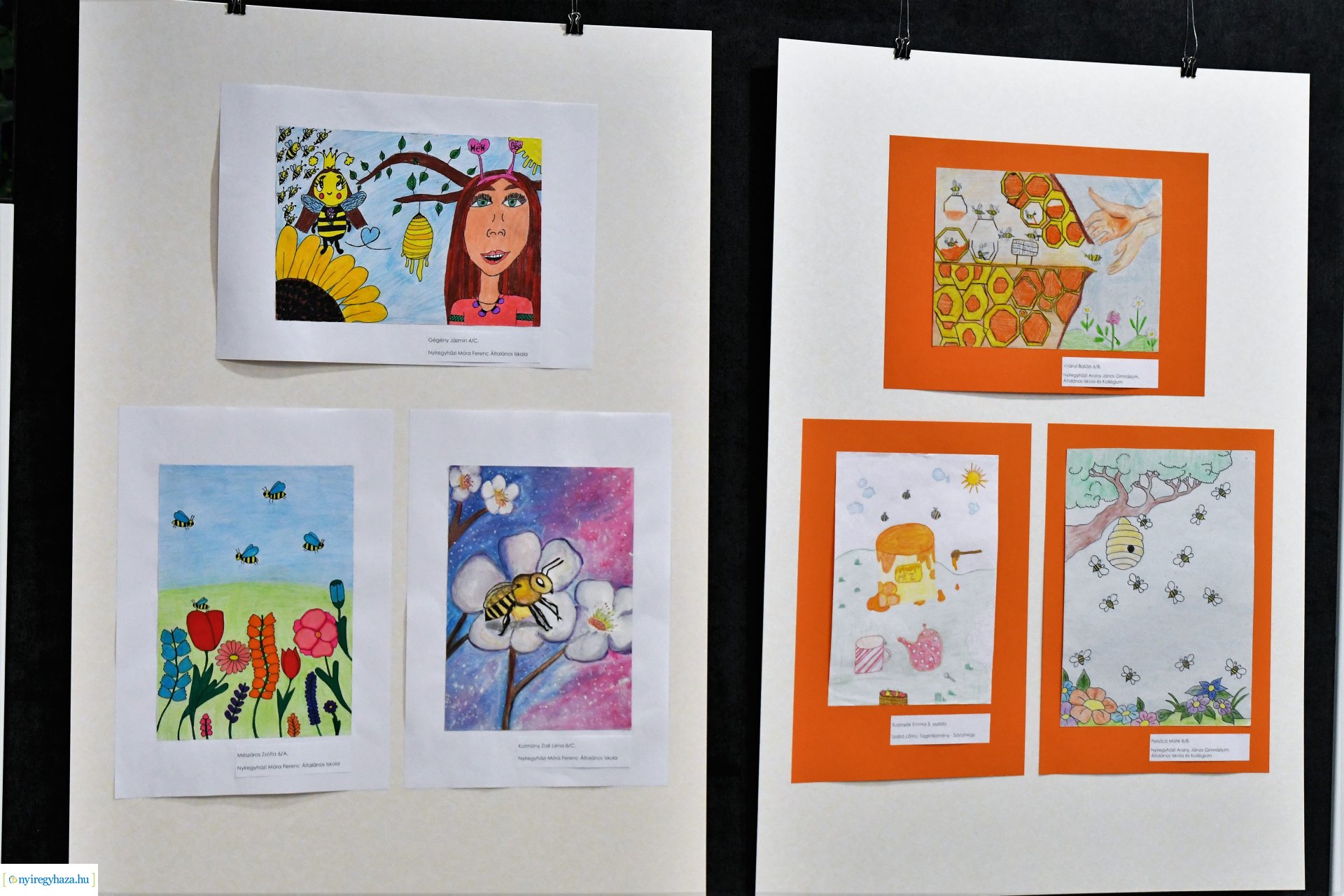 Barátságban a méhekkel - rajzpályázat eredményhirdetés 