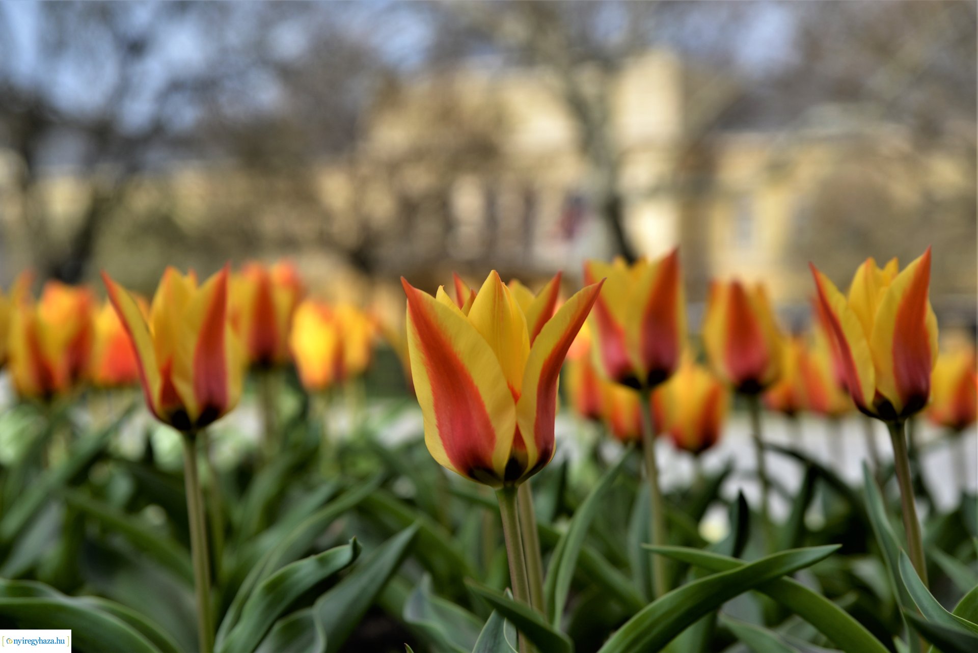 Barkaszentelés a Magyarok Nagyasszonya-társszékesegyházban 2023.