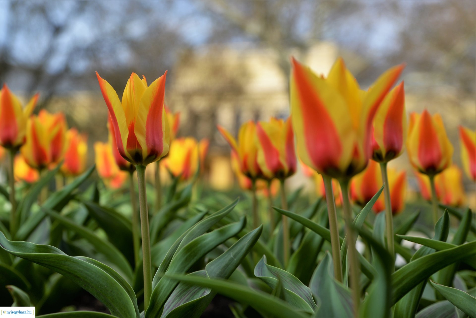 Barkaszentelés a Magyarok Nagyasszonya-társszékesegyházban 2023.