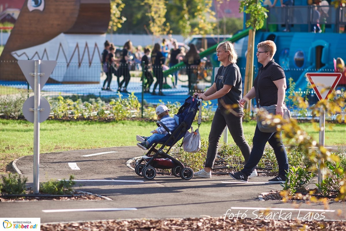 Barnamezős családi nap
