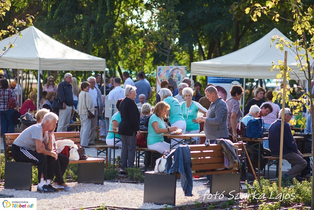 Barnamezős családi nap