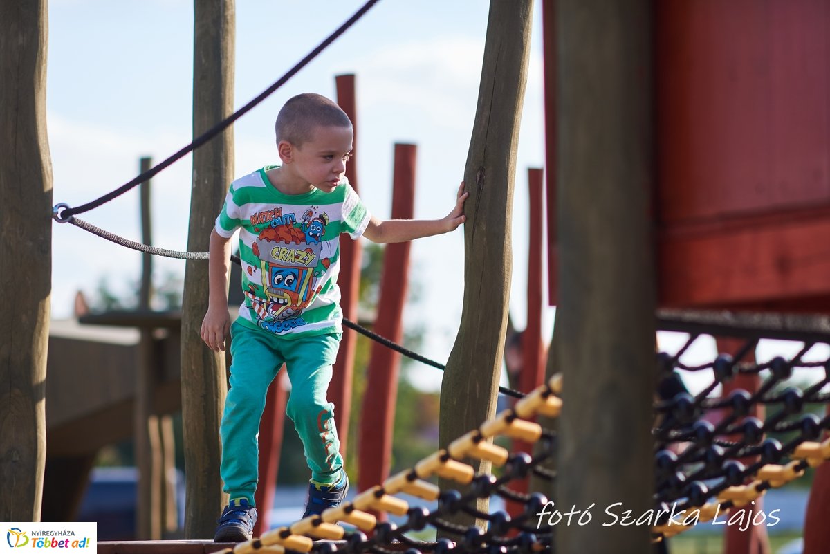 Barnamezős családi nap