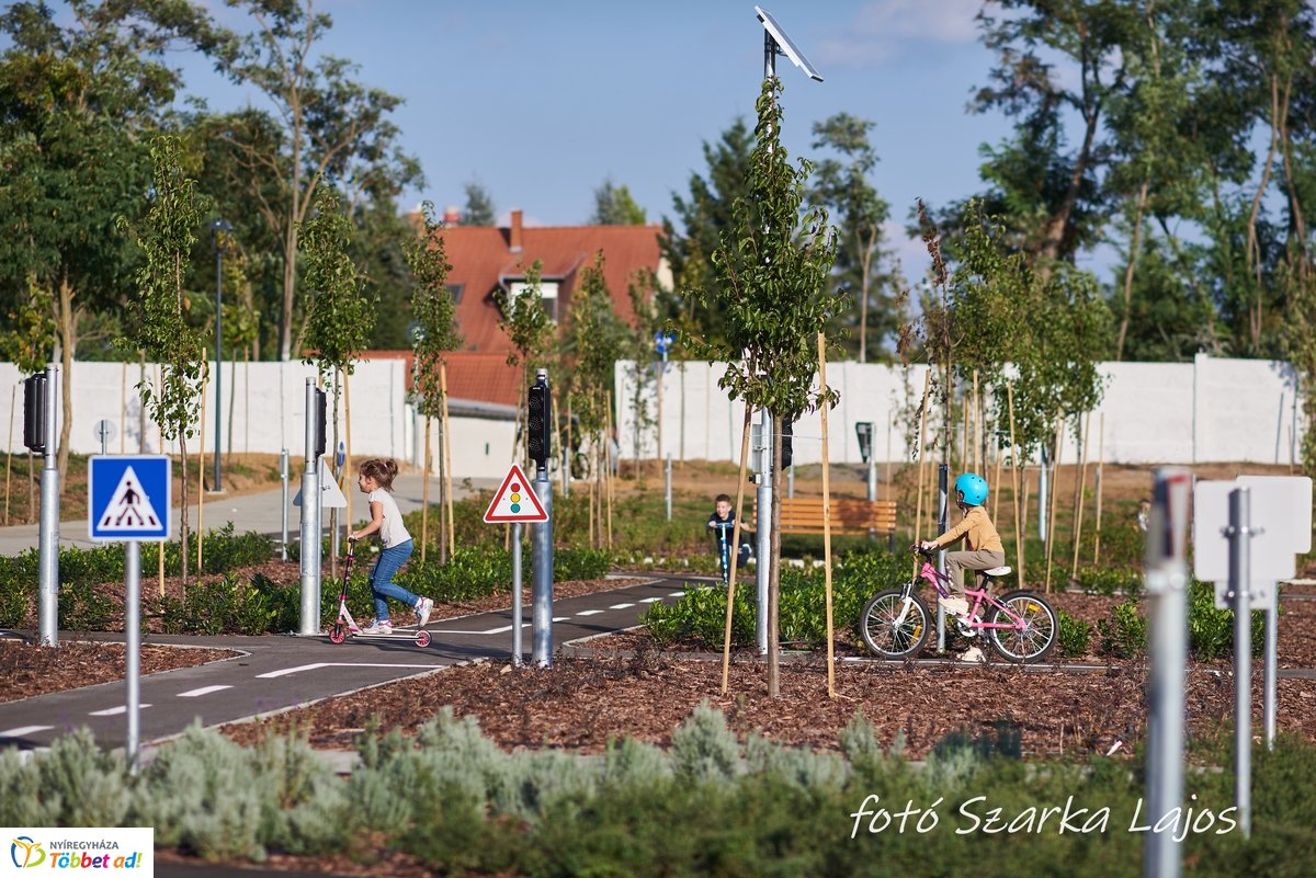 Barnamezős családi nap