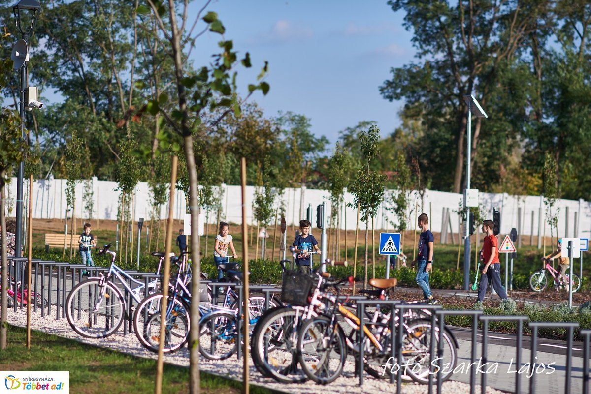 Barnamezős családi nap