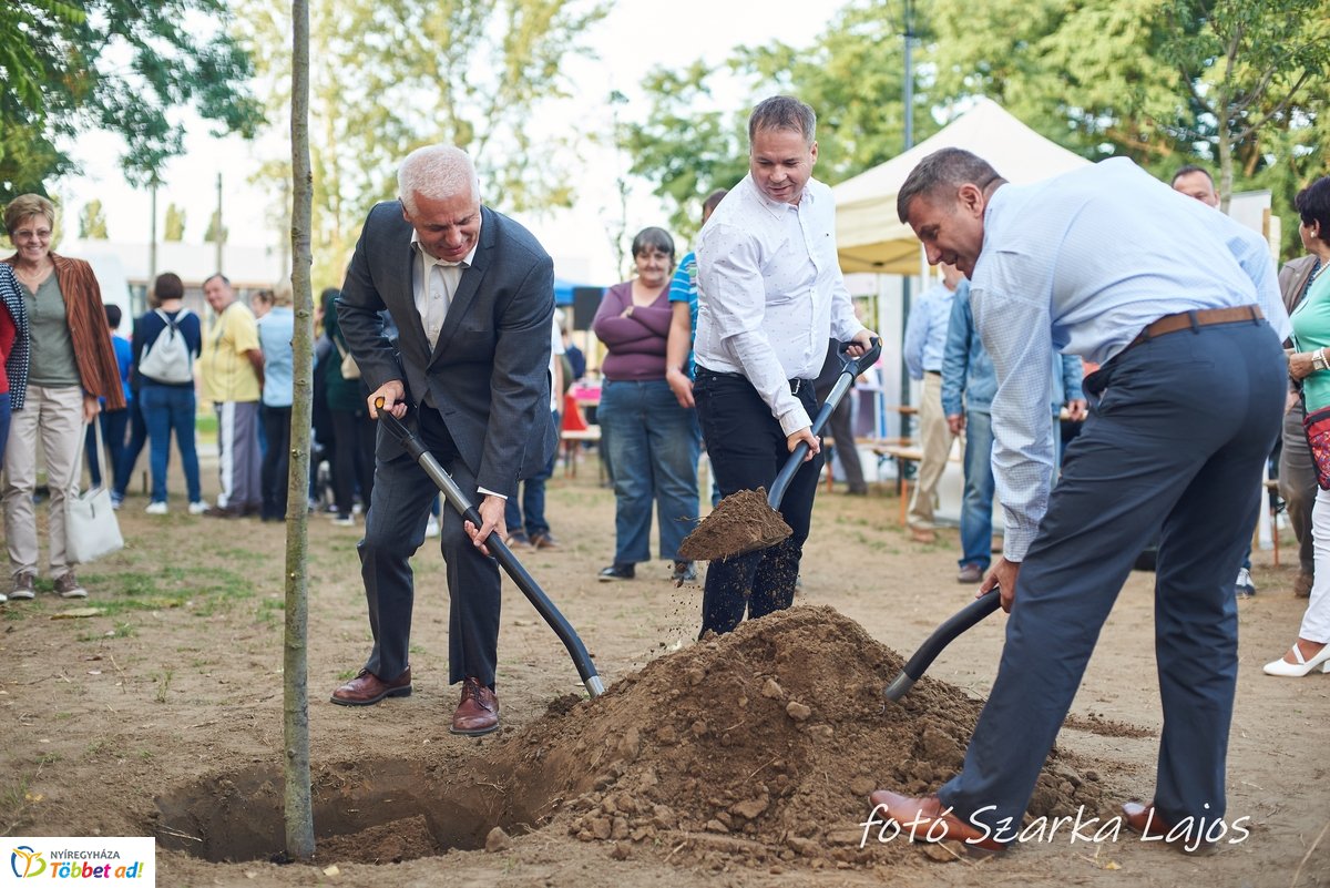 Barnamezős családi nap