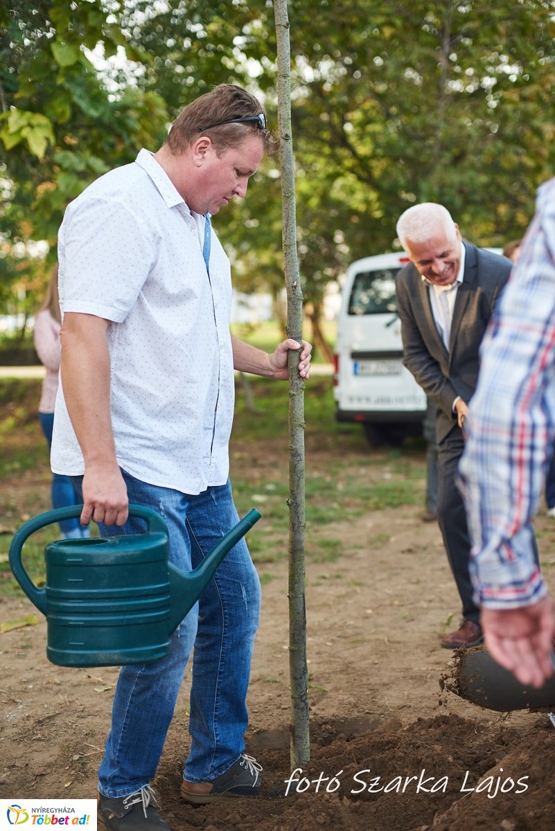 Barnamezős családi nap